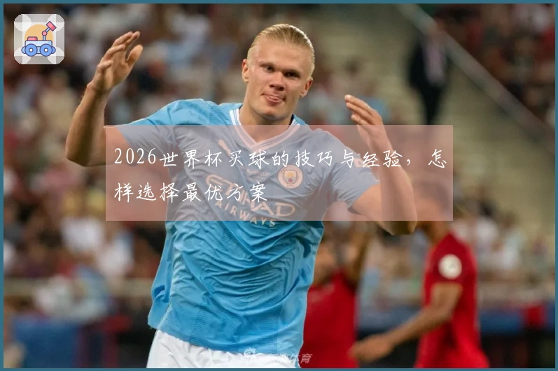 2026世界杯买球的技巧与经验，怎样选择最优方案