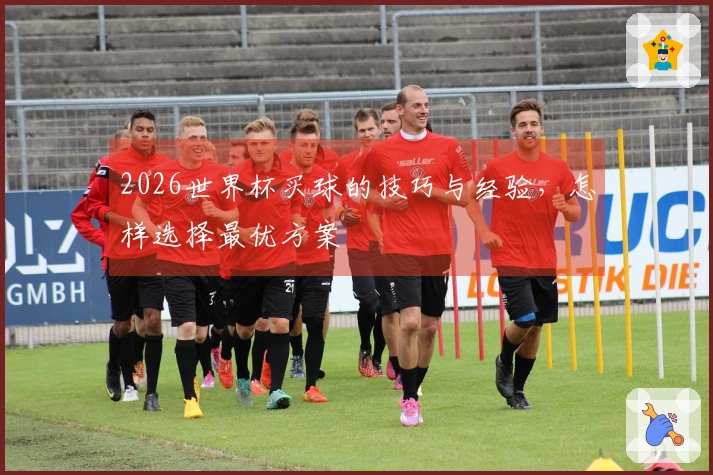 2026世界杯买球的技巧与经验，怎样选择最优方案