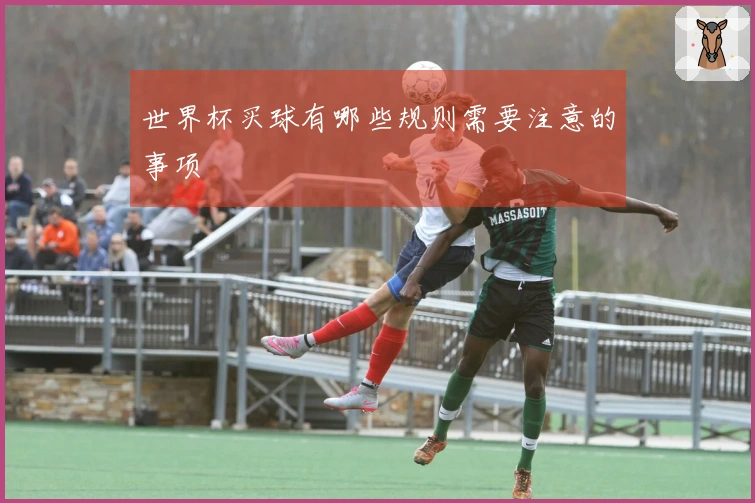 世界杯买球有哪些规则需要注意的事项