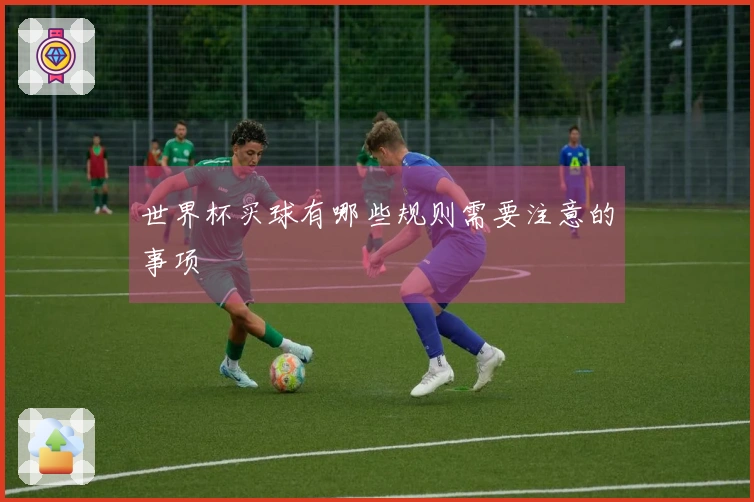 世界杯买球有哪些规则需要注意的事项